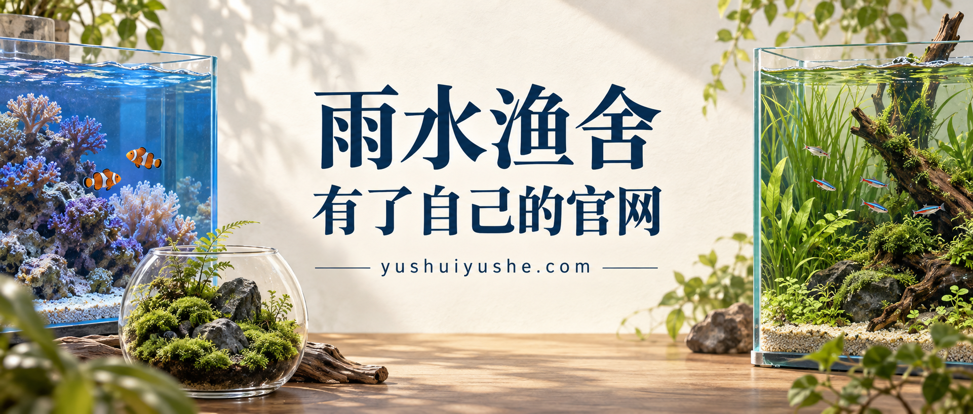雨水渔舍有了自己的官网:海缸、草缸与苔藓微景观封面插画