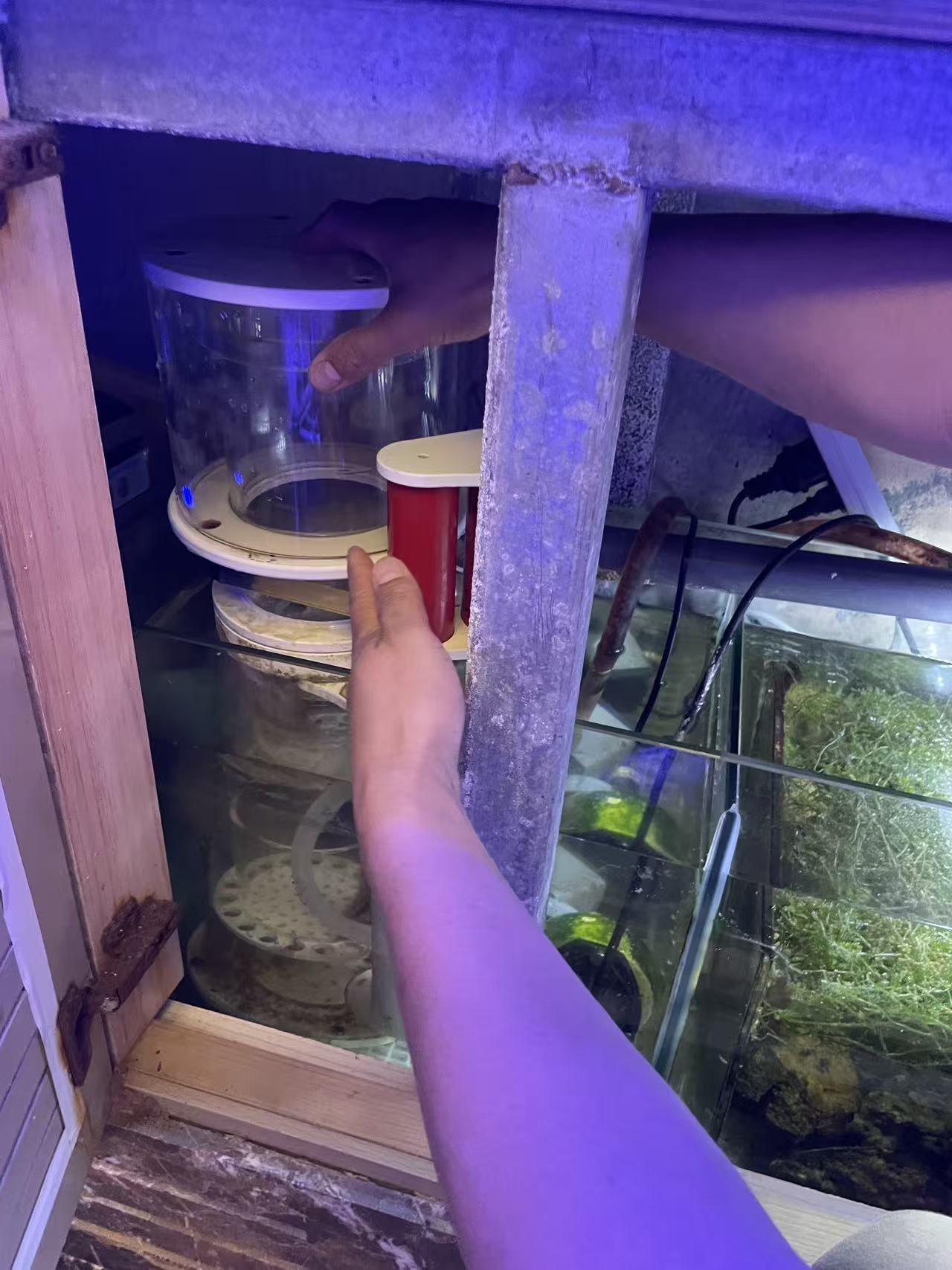 将收集杯装回设备。