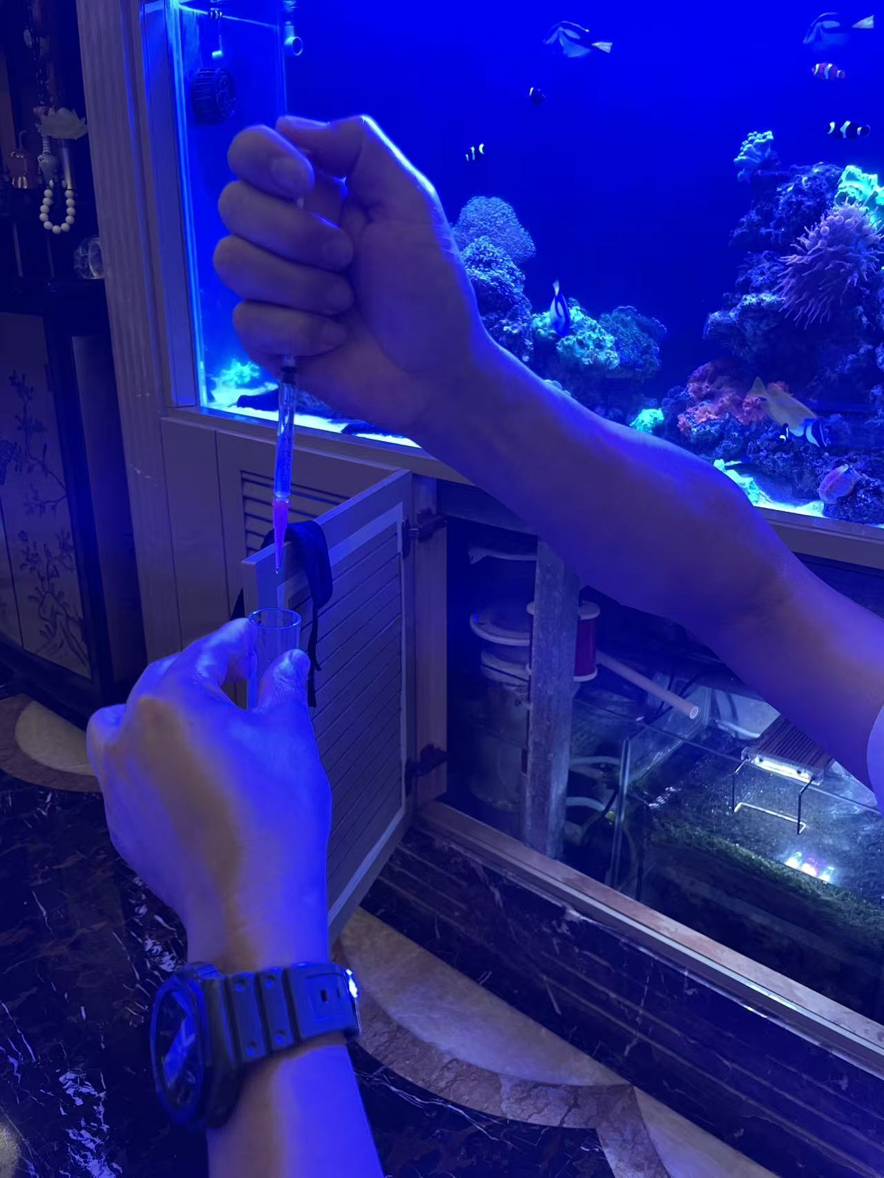 取样工具与检测用的小瓶。