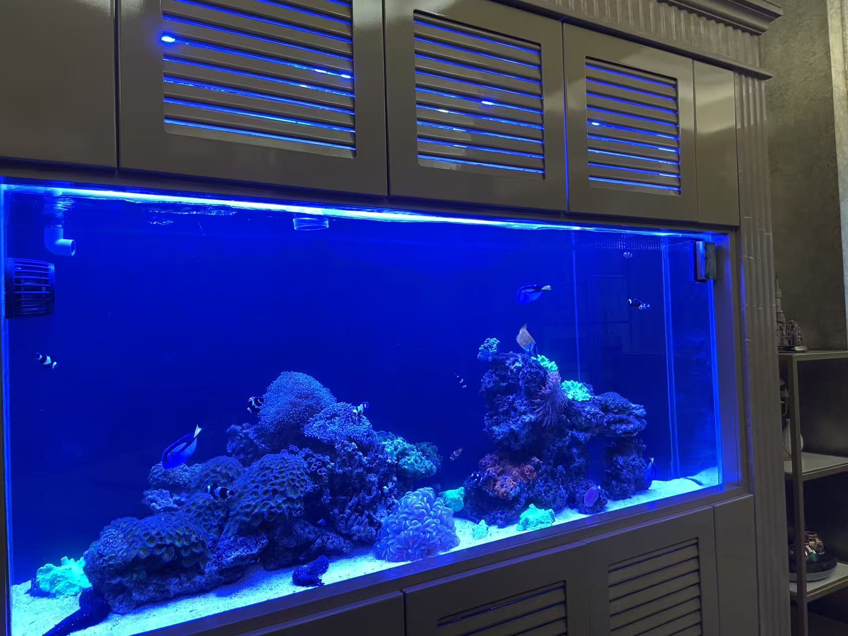 木柜海缸的现场全景。