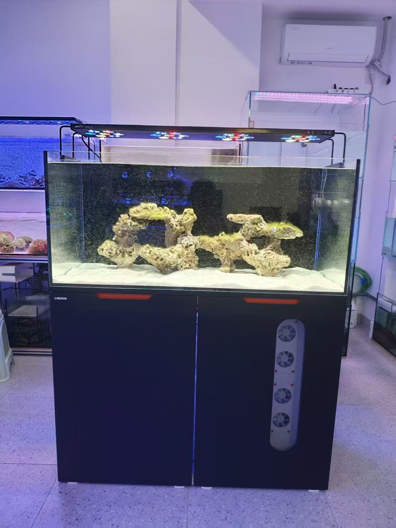 注水后的石景。记录到这里,新的水下空间刚刚成形。